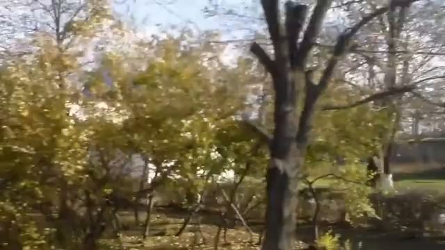 Рейс  Черноземное -  Акимовка.