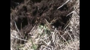 По выбитому месту с ванквишь 440