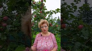 Мак выращивать можно? Часть 2.