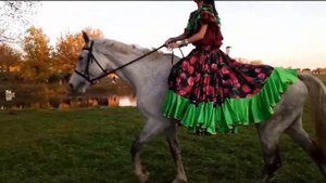 Птица Ворон Казачья песня