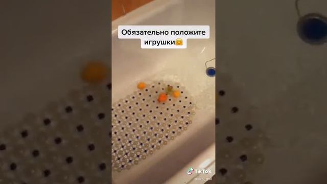 Как купать кота