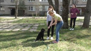 ОБУЧЕНИЕ ЩЕНКА. ДРЕССИРОВКА С НУЛЯ. Урок 3