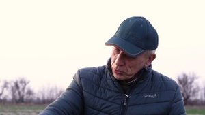 Выращивание рапса по технологии No-till в засушливых условиях