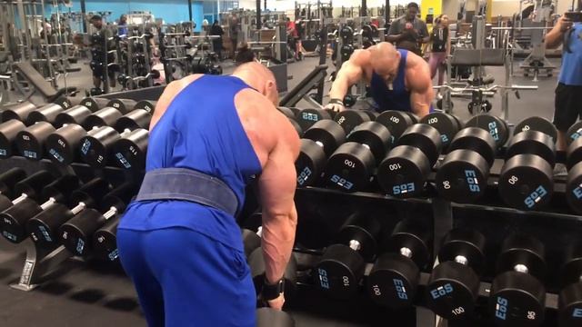 Weight Lifting Hooks By ProFitness - Use for Deadlifts, Lat Pull Downs, all Back Workouts смотреть онлайн