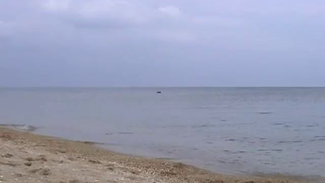 Ми на варті природи смотреть онлайн