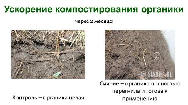 СИЯНИЕ, центр природного земледелия