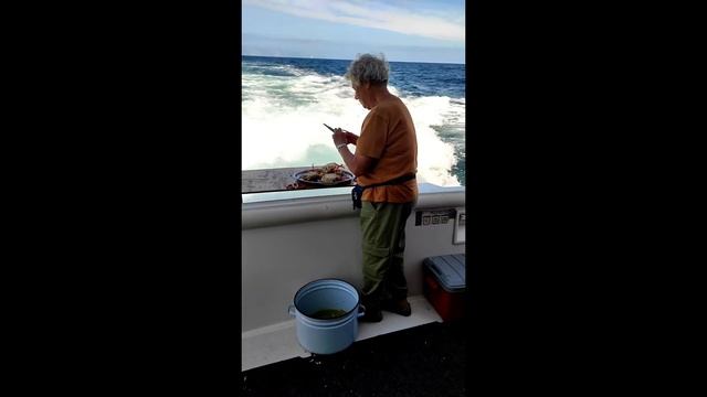 Путешествие по Камчатке с дрона.Морская прогулка.