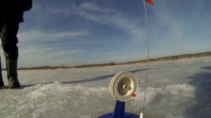 Закрытие зимнего сезона ловли со льда в Подмосковье.