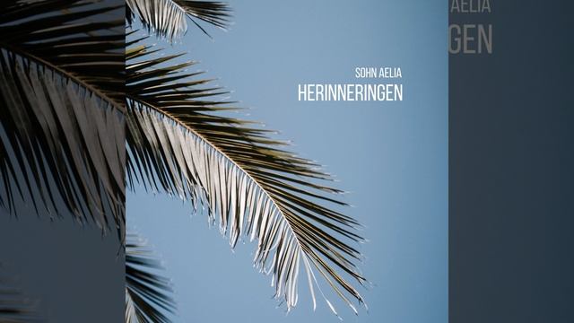 Herinneringen смотреть онлайн