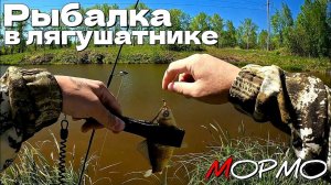 Мормышинг и наноджиг в малом лягушатнике. Рыба есть!