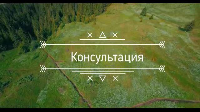 Поддатая коллекторша| разговоры с коллекторами