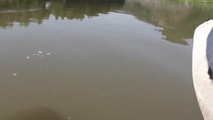 КАТАЕМСЯ НА КАТАМАРАНЕ С МОТОРОМ ПО РЕКЕ!!!