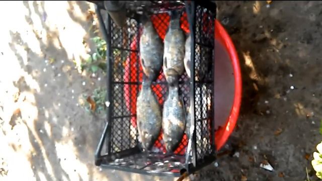 как быстро почистить рыбу ! смотреть онлайн