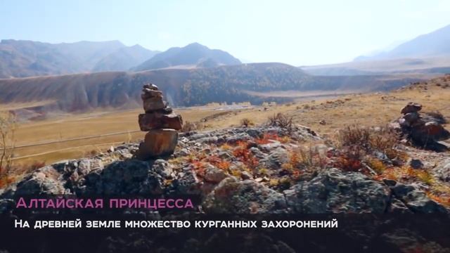 Чудеса плато Укок - распиаренное болото или высокогорная Магия! смотреть онлайн