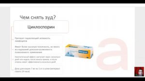 23.03.2021 Зуд у кошек. Причины, следствия, как грамотно помочь. Илья Исаев