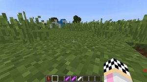 😅Мы Следили за ШЕДИ Через Скрытые Камеры в Майнкрафте! Леска и Нубик Кубик Затроллили ШЕДИ