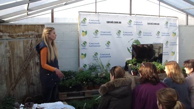 Видео с семинара по пряным травам смотреть онлайн