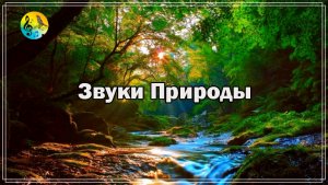 Звуки Природы ? Успокаивающий шум ручья в горах. белый шум ? Для Успокоения Ума