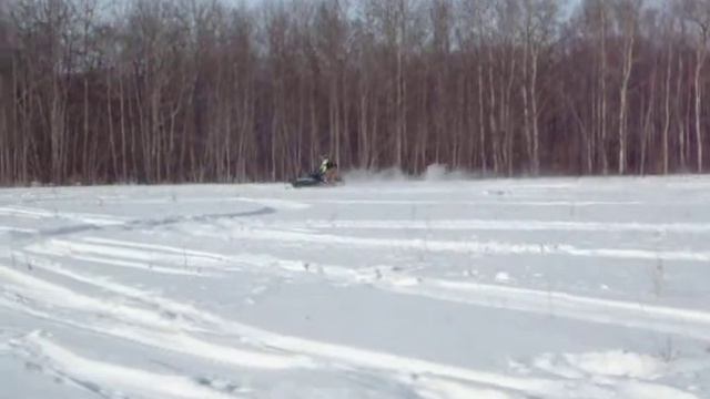 wild cat 700 EFI смотреть онлайн