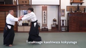 13 different Aikido nage waza or throws - #aikido #aikidothrows #nagewaza #aikidocenterla