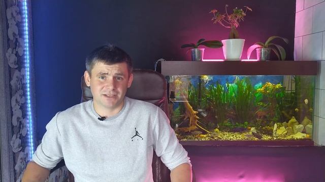 Заработок на аквариумных рыбках//Торговля аквариумными рыбками//Аквариумистика, как бизнес идея! смотреть онлайн
