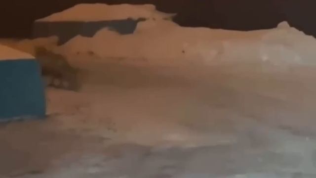 патрикевна