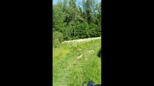 Велопокатушки. Лобня-Пестовское водохранилище-Федоскино-Лобня.