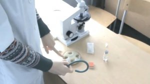 Физиология Навыки. Подсчет количества эритроцитов в камере Горяева
