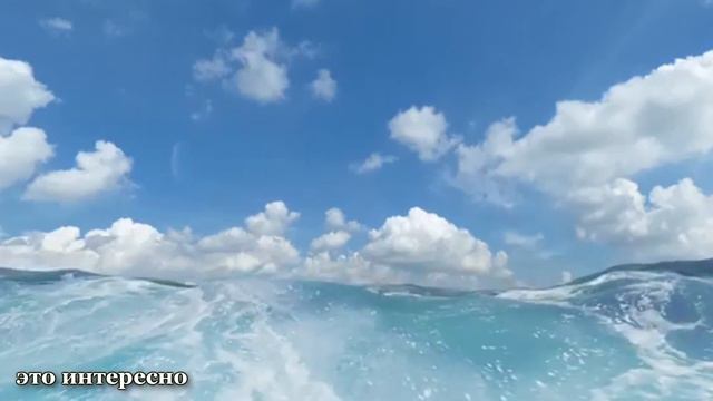 Вода. Лечение Водой!