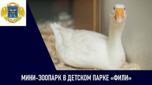 Мини-зоопарк в детском парке «Фили»