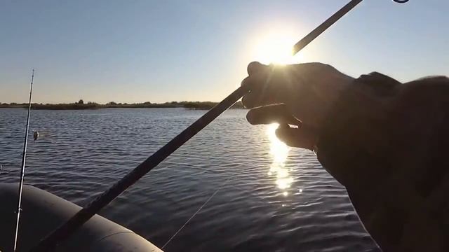 Mepps Aglia. Осенняя Рыбалка с Лодки в жабовнике