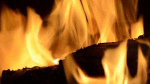 Nikon D7000, работа автофокуса в режиме видеосъемки