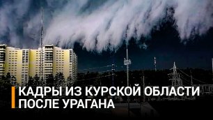 В Курской области 87 населенных пунктов остались без света из-за ветра / РЕН Новости