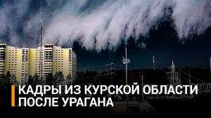 В Курской области 87 населенных пунктов остались без света из-за ветра / РЕН Новости