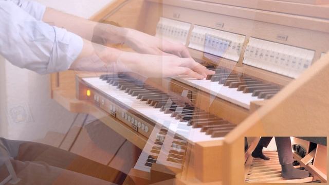 Edward Elgar's NIMROD on the Cavaillé-Coll Organ of Nancy Cathedral (Hauptwerk - Piotr Grabowski)