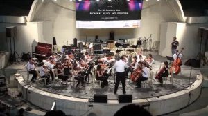 YES Academy Syria, 2010, String Orchestra 'Palladio' Karl Jenkins