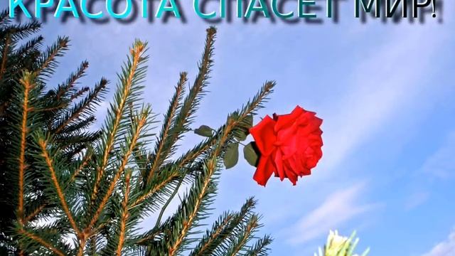 Как прекрасен  этот мир.wmv смотреть онлайн