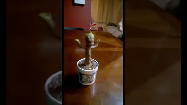 Dancing Groot