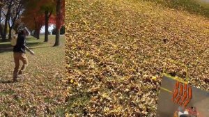 Minecraft в реале: Oculus Quest 3