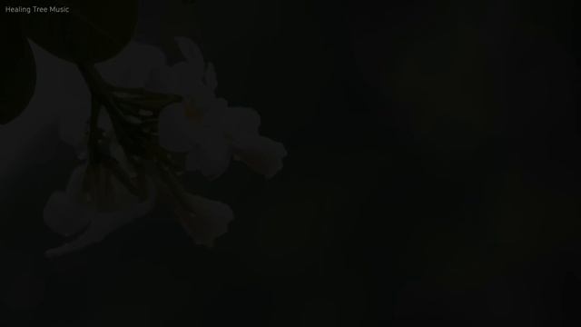 "하얀 꽃에 떨어지는 비" 10시간 피아노 수면음악 ? 빗소리, 잠오는음악, 불면증음악 (White Flower) смотреть онлайн