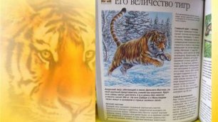 Тематическая виртуальная выставка "Про тигров и тигрят".mp4