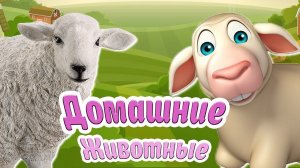 ДОМАШНИЕ ЖИВОТНЫЕ + ВИДЕО + ЗВУКИ ЖИВОТНЫХ + РАЗВИВАЮЩИЕ МУЛЬТИКИ ДЛЯ ДЕТЕЙ