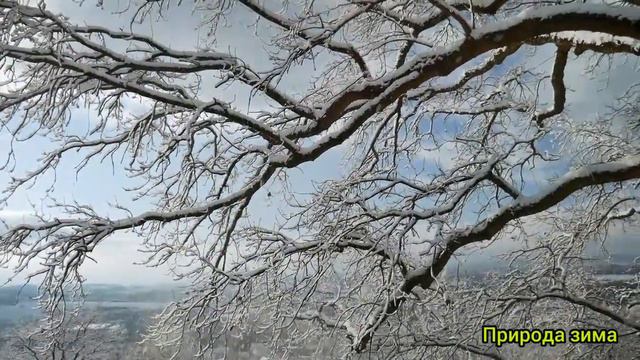 Зимняя природа Неповторимая царица зима музыка Для души смотреть онлайн