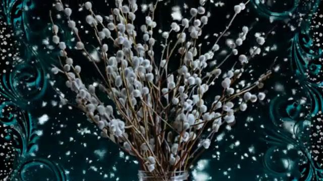 Поздравления с Вербным Воскресеньем. Музыкальная видео открытка смотреть онлайн