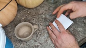 Пакетики для хранения семян своими руками. В чем и где хранить семена.