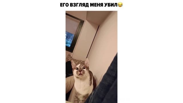 Самые смешные приколы,10 минут смеха