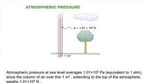 PHYS 151 Lecture 26 Pascal's Principle