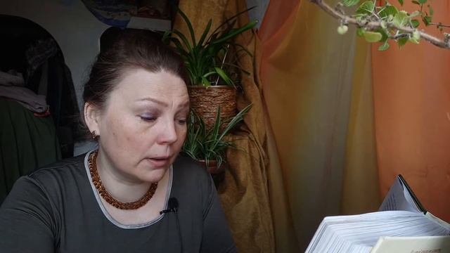 Мила Блинова Большой Кыш 4 глава - читает Мария Новикова