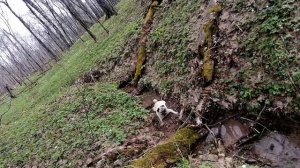 апрель 2024г.кургаш.Биик.