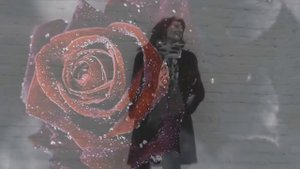 Романс "Две Розы". Исп. Наталья Мкртчян #романсы #дверозы